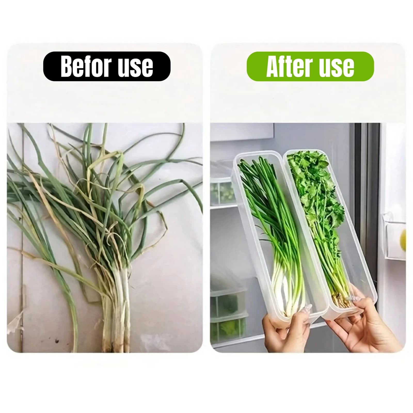 1/2/4Pcs Refrigerator Storage Boxes With Lid Plastic Fresh Keeping Box Kitchen Scallions Cilantro Eggs Noodles Sealed Container